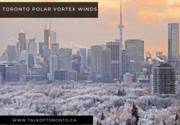 Toronto Polar Vortex Winds: How to Stay Entertained and Safe