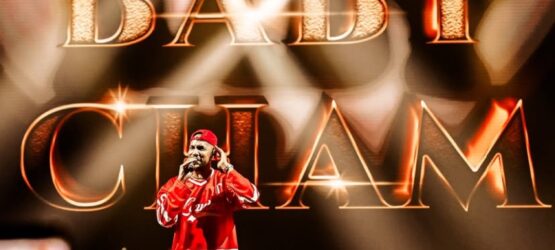 Baby Cham Toronto Concert: Event Photos 2025