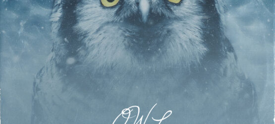 Thomas Cookz Drops New Beat “Owl” – A Sound Designed for Drake & Future?