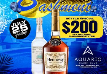 BLUEBERRY BASHMENT – VIBEZ SESSION XV