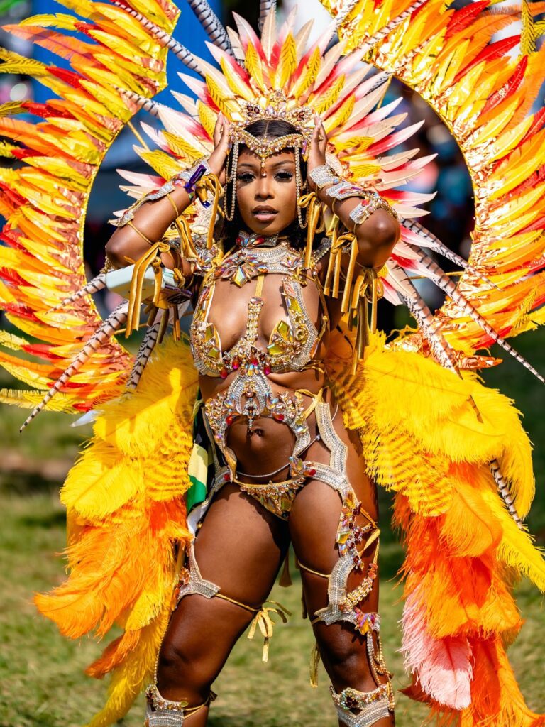 Beautiful lady in a costume at Toronto Caribana Carnival Parade