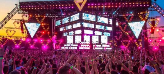 Veld Music Festival Goes Plastic-Free With Toronto’s Own Blue Penguin