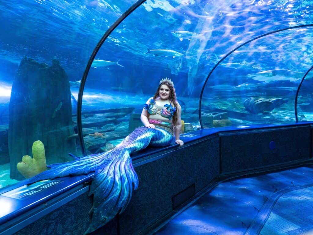 Ripleys-Aquarium-6-1024×768