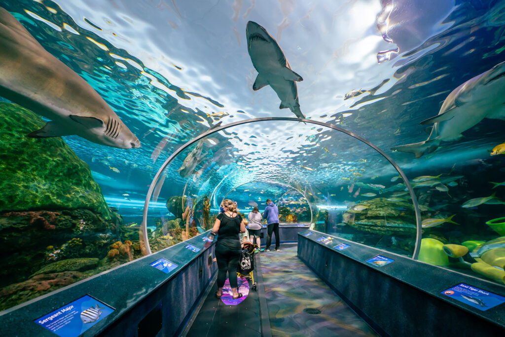 Ripleys-Aquarium-of-Canada