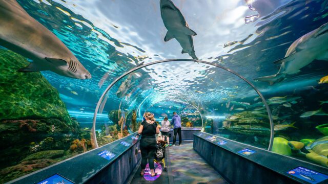 Ripleys-Aquarium-of-Canada