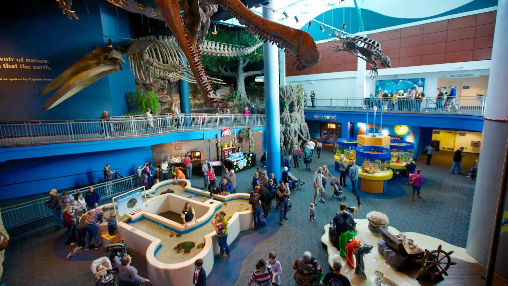 toronto-Ripleys-Aquarium-games