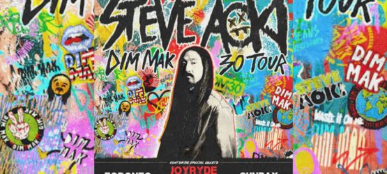 Steve Aoki Live Concert in Toronto at REBEL