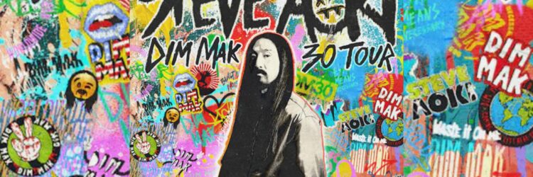 Steve Aoki Live Concert in Toronto at REBEL