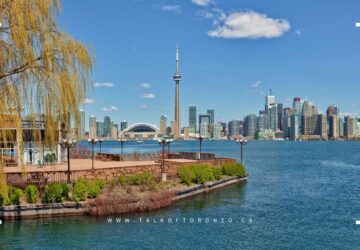 Best Things To Do in Toronto This Week