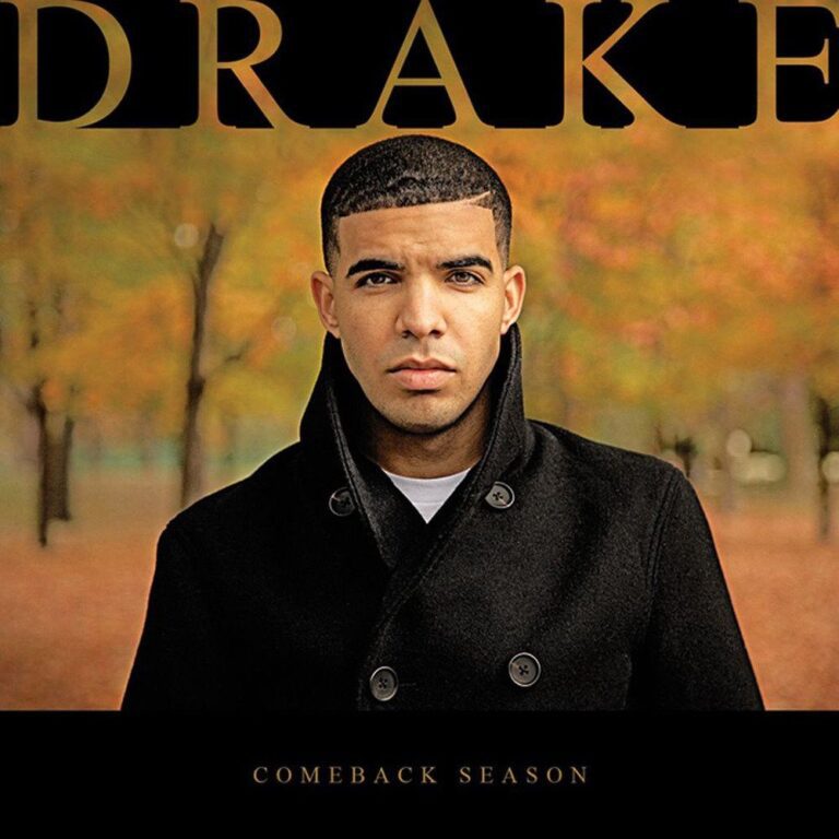 Drake artist artwork