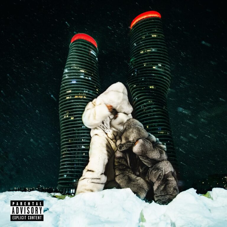 Drake artist artwork