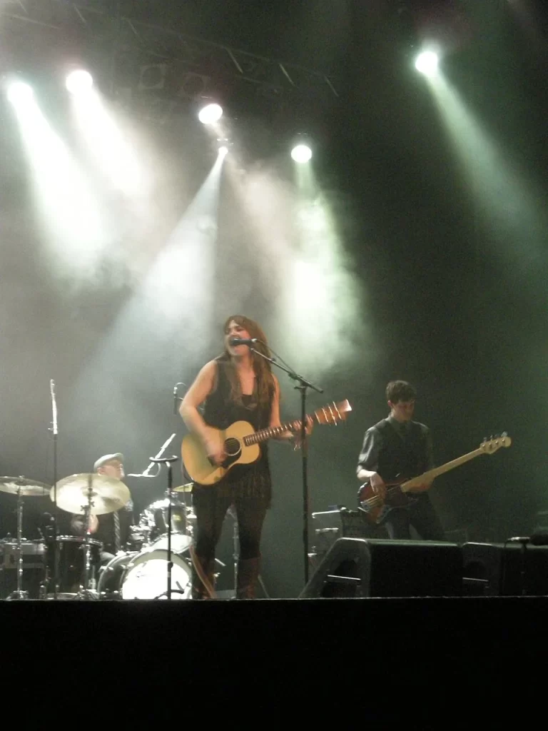 Live concert performance at Queen Elizabeth Theatre in Toronto