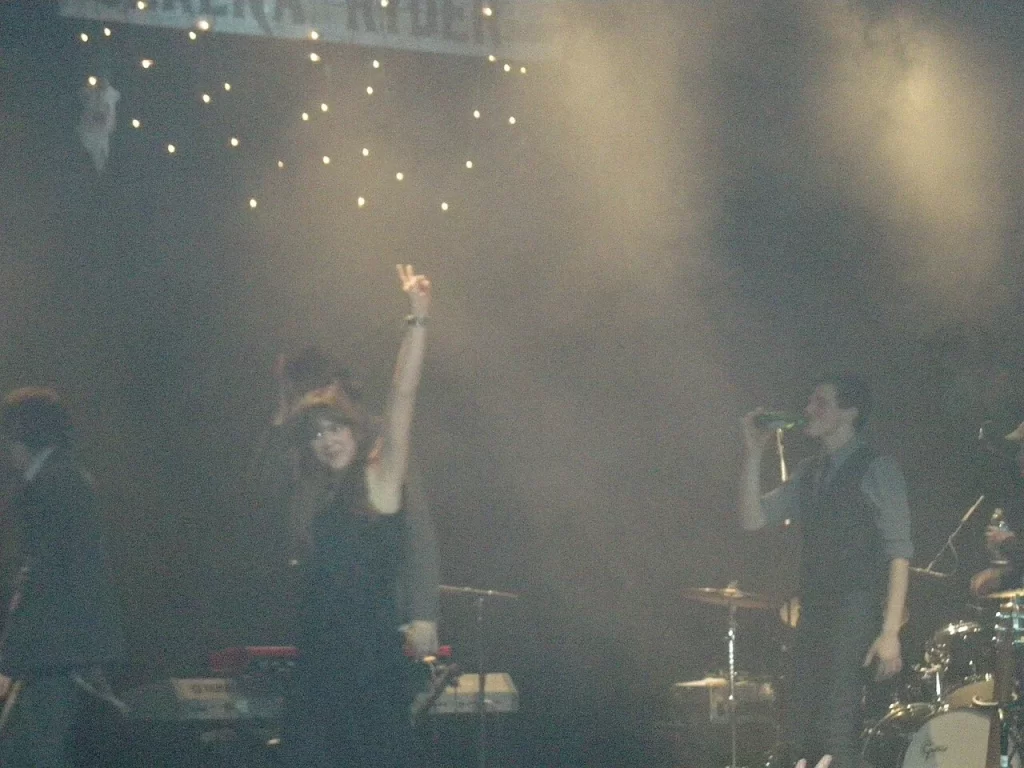 Live concert performance at Queen Elizabeth Theatre in Toronto