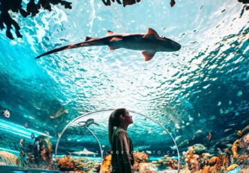 Ripley’s Aquarium of Canada