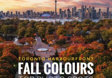 Toronto Harbourfront Photo Walk: 5 Spots for Fall Views