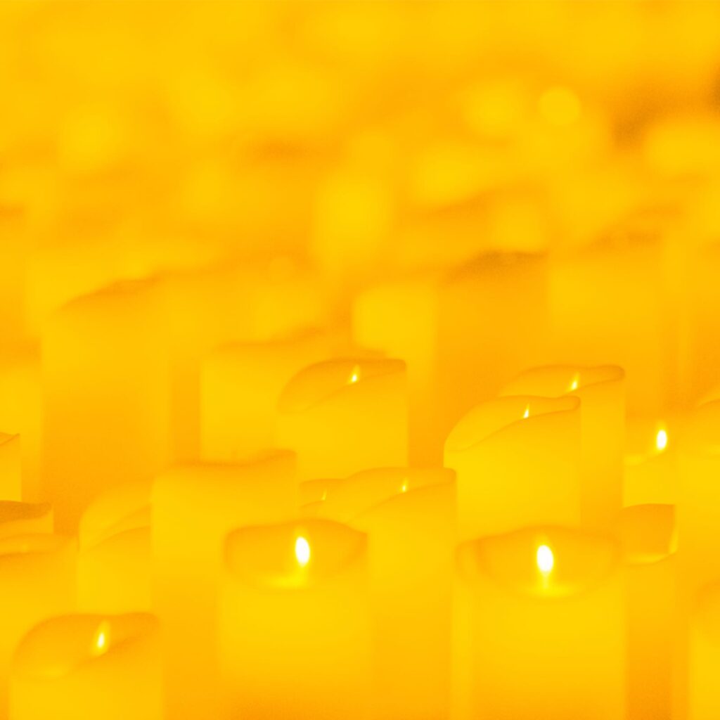 Candlelight: Vivaldi's Four Seasons in Toronto