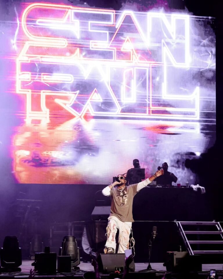 Sean Paul Toronto concert photo 3