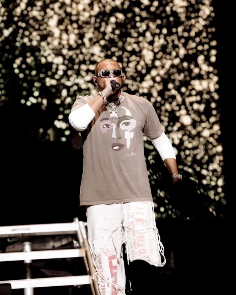 Sean Paul Toronto concert photo 4