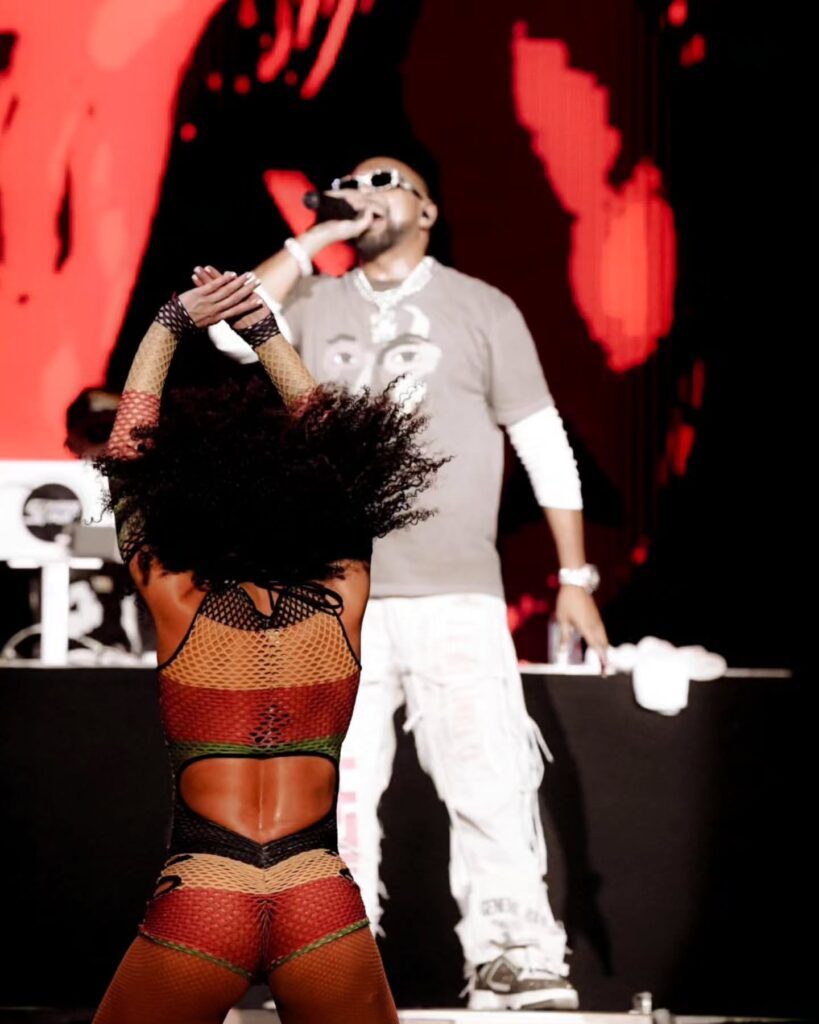 Sean Paul Toronto concert photo 7