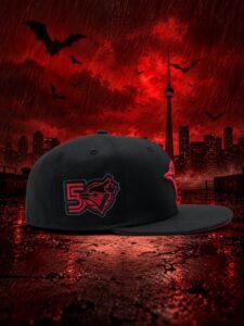 Toronto Blue Jays Bat Jays caps photo 2