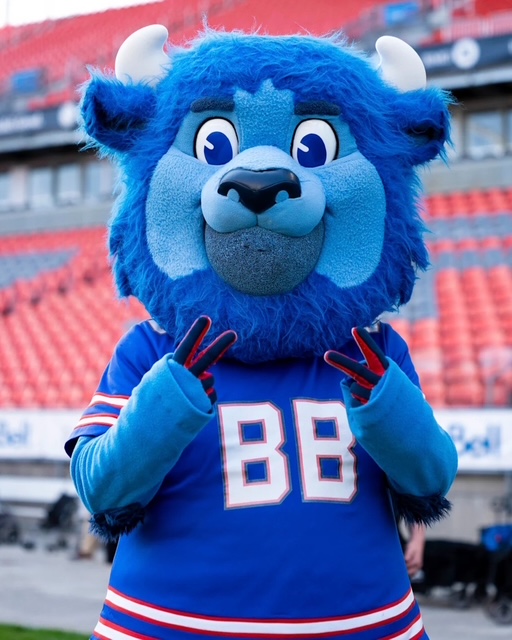 Toronto Raptors Buffalo Bills photo 6